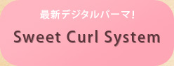 ŐVfW^p[} Sweet Curl System
